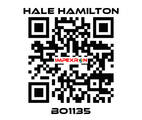BO1135 HALE HAMILTON