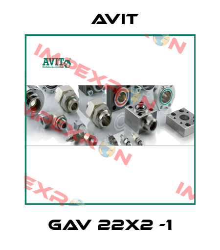 GAV 22x2 -1 Avit