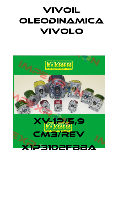 XV-1P/5,9 cm3/rev X1P3102FBBA Vivoil Oleodinamica Vivolo