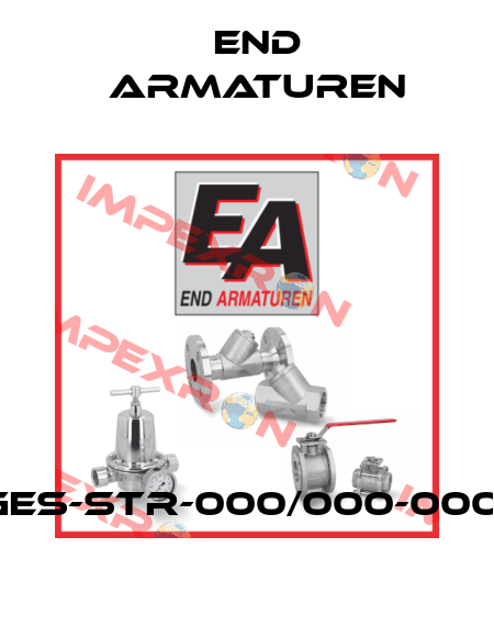 GES-STR-000/000-0001 End Armaturen