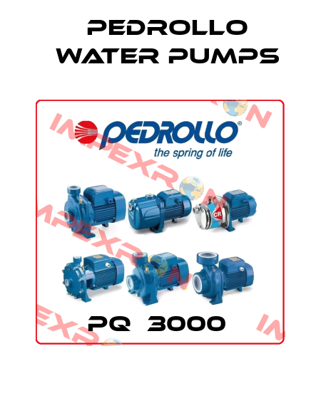 PQ  3000  Pedrollo Water Pumps