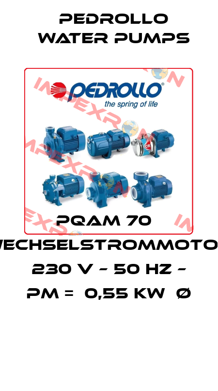 PQAM 70   WECHSELSTROMMOTOR  230 V – 50 HZ – PM =  0,55 KW  Ø  Pedrollo Water Pumps