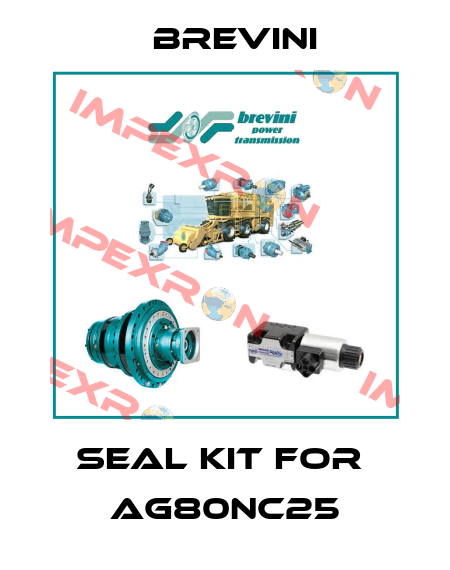 Seal kit for  AG80NC25 Brevini