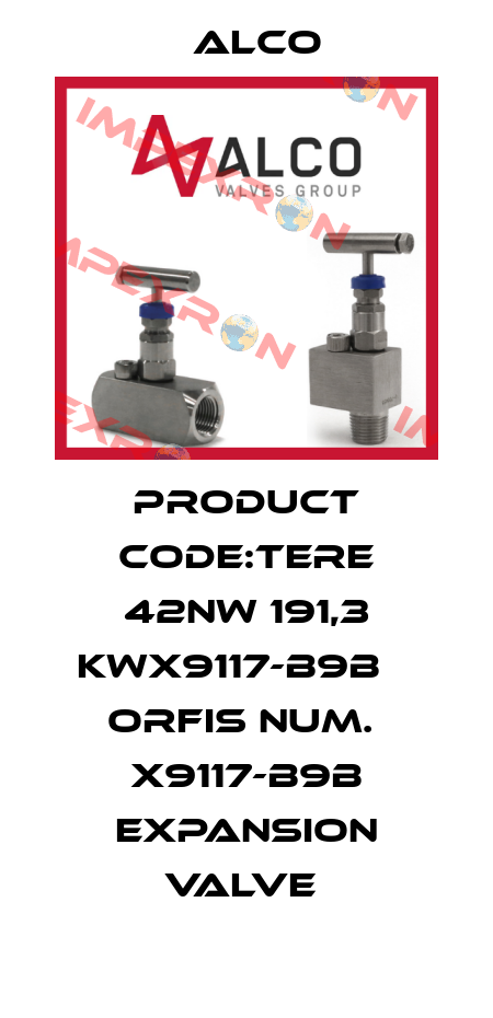 PRODUCT CODE:TERE 42NW 191,3 KWX9117-B9B    ORFIS NUM.  X9117-B9B EXPANSION VALVE  Alco