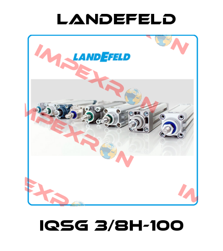 IQSG 3/8H-100 Landefeld