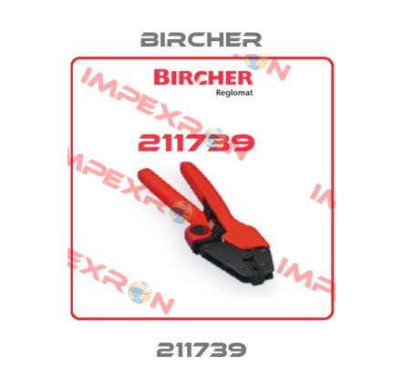211739 Bircher