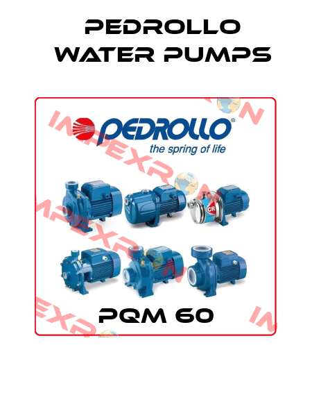 PQm 60 Pedrollo Water Pumps