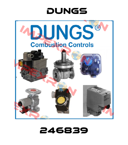 246839 Dungs