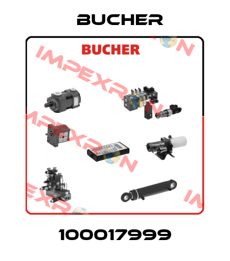 100017999 Bucher