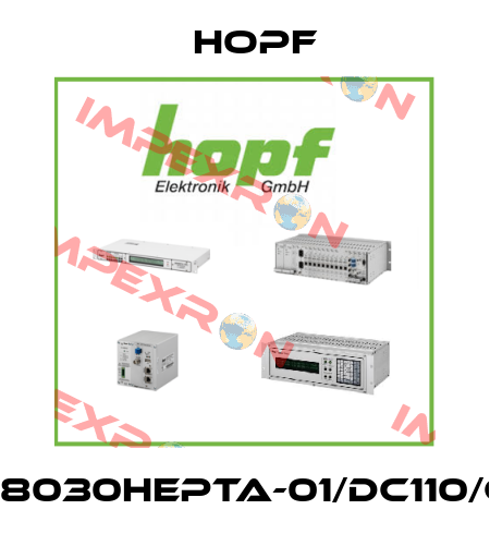 FG8030HEPTA-01/DC110/GP Hopf