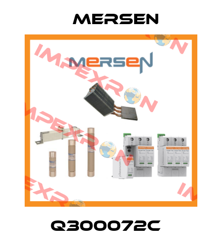 Q300072C   Mersen