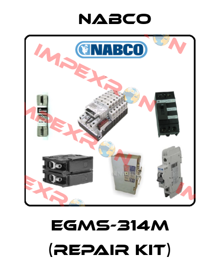 EGMS-314M (repair kit) Nabco