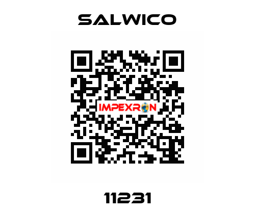 11231 Salwico