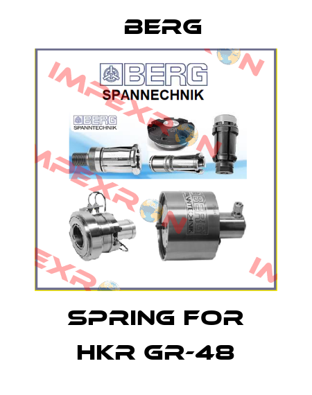 Spring for HKR GR-48 Berg