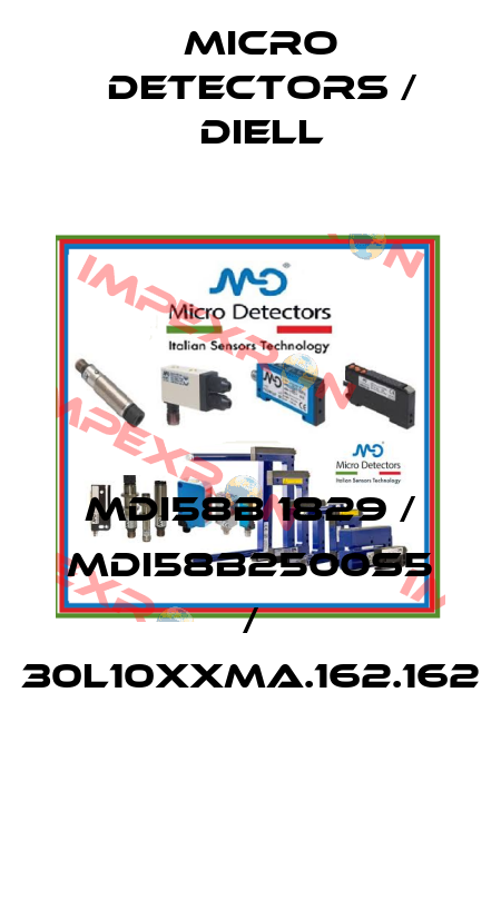 MDI58B 1829 / MDI58B2500S5 / 30L10XXMA.162.162
 Micro Detectors / Diell