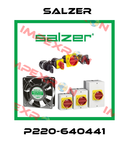 P220-640441 Salzer