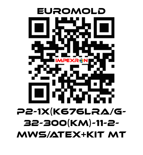 P2-1x(K676LRA/G- 32-300(KM)-11-2- MWS/ATEX+KIT MT EUROMOLD