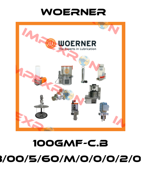 100GMF-C.B (GMF-C.B/00/5/60/M/0/0/0/2/0/0/V/7/0) Woerner