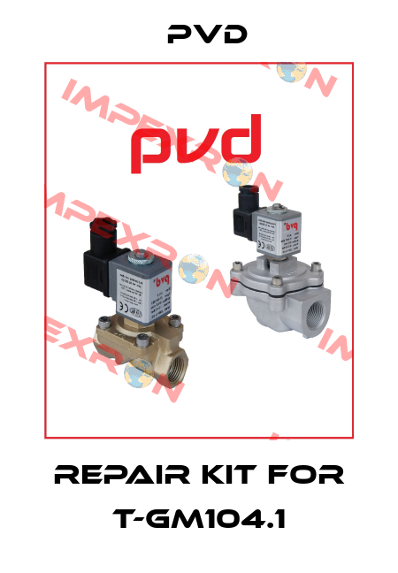 repair kit for T-GM104.1 Pvd