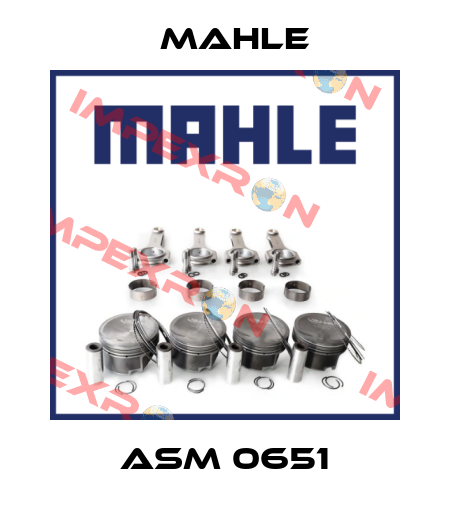 ASM 0651 MAHLE