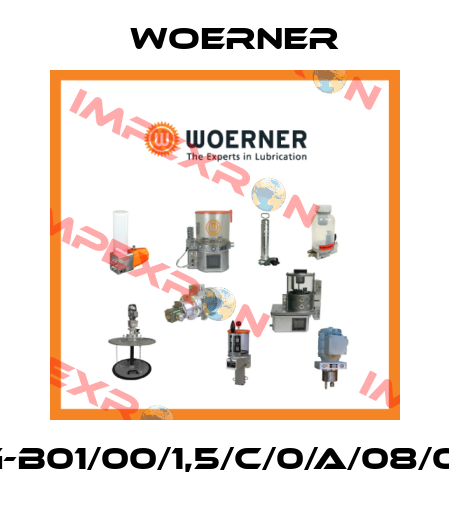GMG-B01/00/1,5/C/0/A/08/0/0/3 Woerner