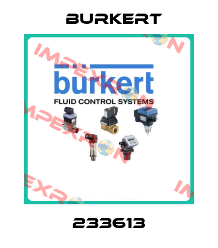 233613 Burkert