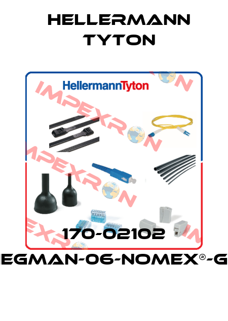 170-02102 HEGMAN-06-NOMEX®-GN Hellermann Tyton