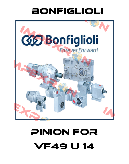 Pinion for VF49 U 14 Bonfiglioli