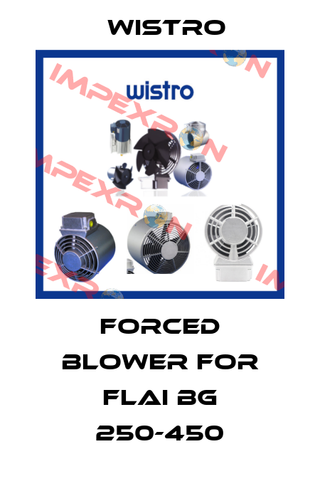 forced blower for FLAI Bg 250-450 Wistro