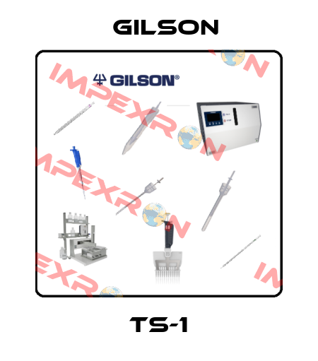 TS-1 Gilson