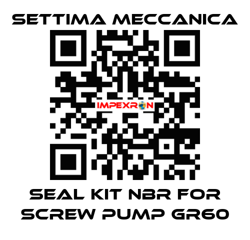 SEAL KIT NBR FOR SCREW PUMP GR60 Settima Meccanica