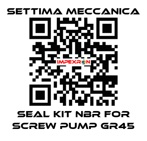 SEAL KIT NBR FOR SCREW PUMP GR45 Settima Meccanica