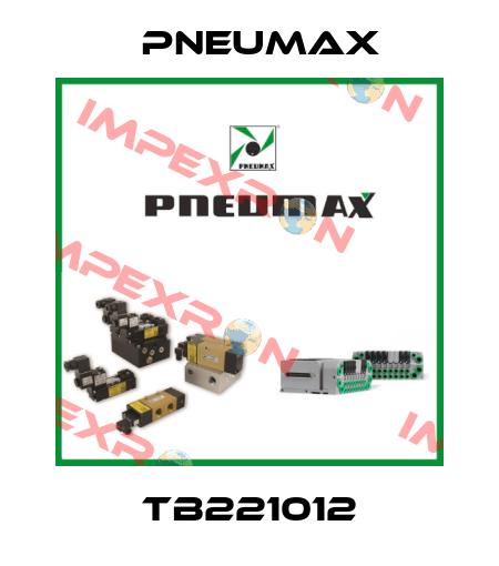 TB221012 Pneumax