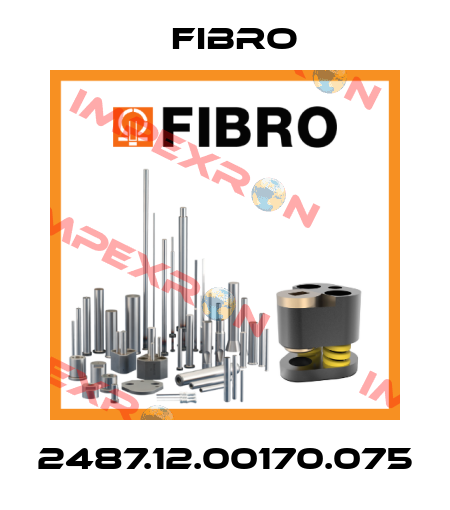 2487.12.00170.075 Fibro