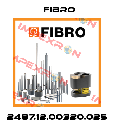 2487.12.00320.025 Fibro