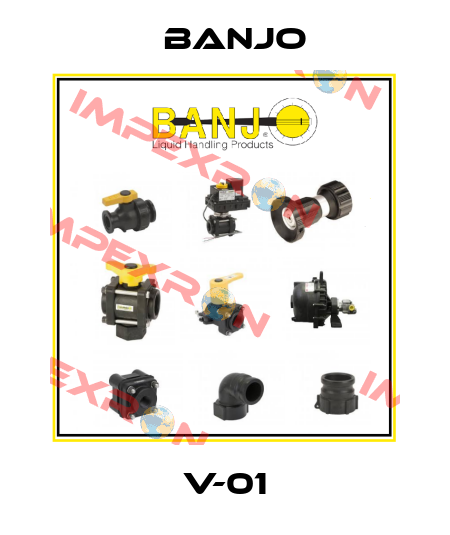 V-01 Banjo