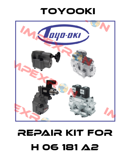 repair kit for H 06 181 A2 Toyooki