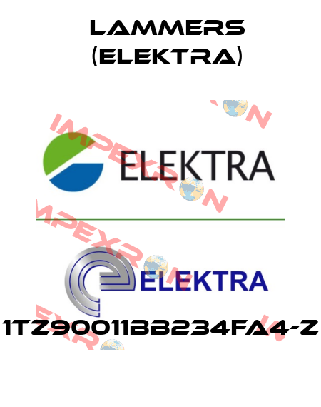 1TZ90011BB234FA4-Z Lammers (Elektra)