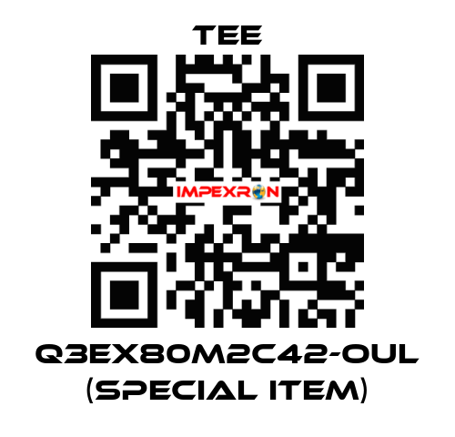 Q3EX80M2C42-OUL (special item) TEE