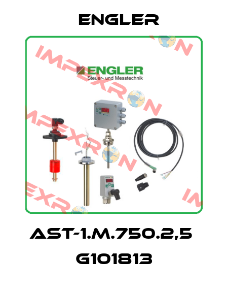 AST-1.M.750.2,5  G101813 Engler