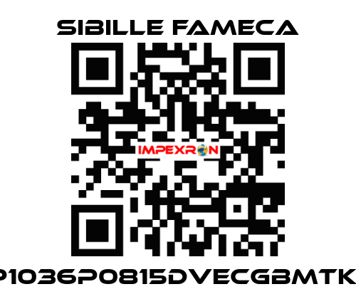 VDP1036P0815DVECGBMTKRI1T Sibille Fameca