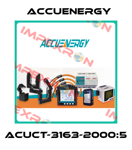 AcuCT-3163-2000:5 Accuenergy