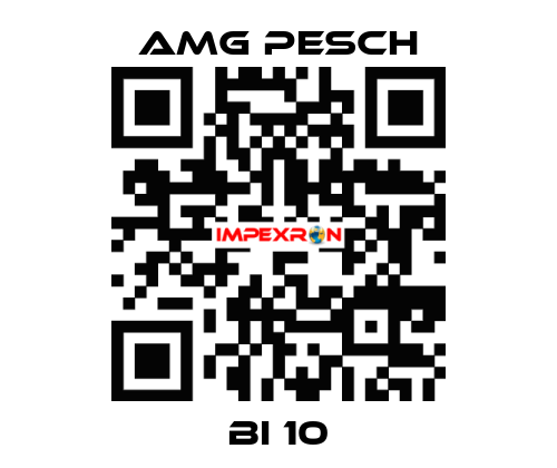 BI 10 AMG Pesch