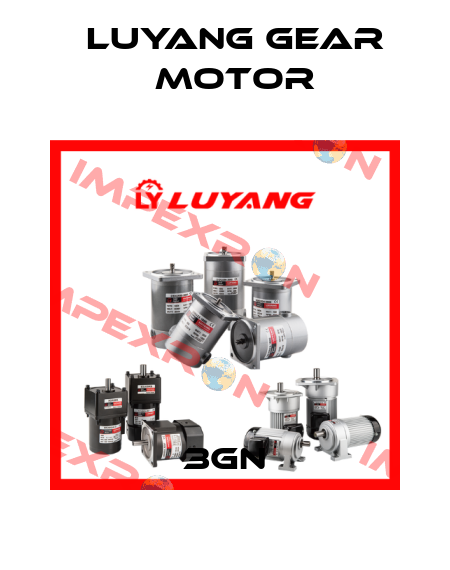 3GN Luyang Gear Motor