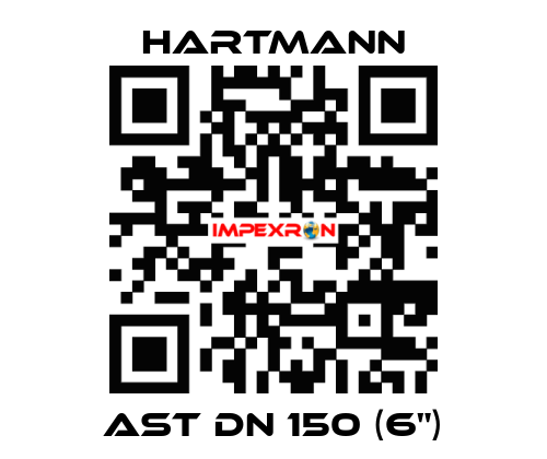 AST DN 150 (6") Hartmann