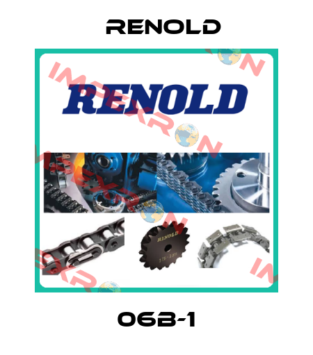 06B-1 Renold