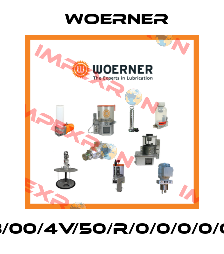 PMF-A.B/00/4V/50/R/0/0/0/0/0/0/0/1/0 Woerner