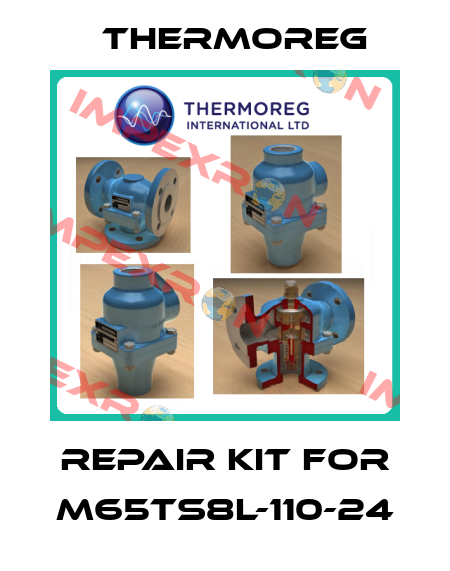 Repair kit for M65TS8L-110-24 Thermoreg