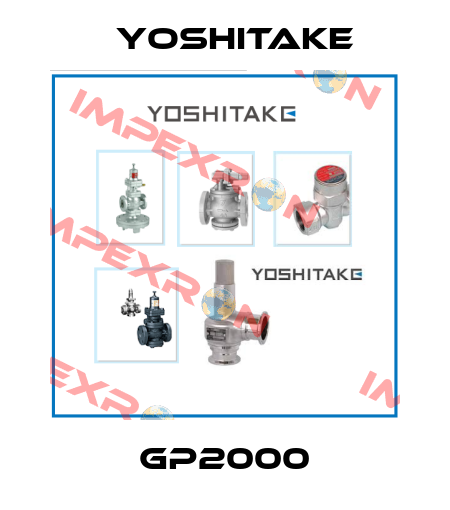 GP2000 Yoshitake