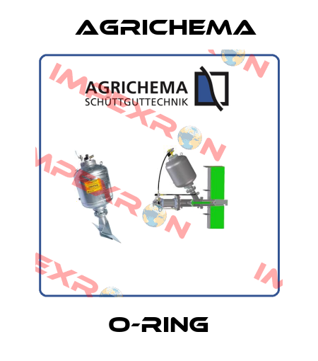 O-ring Agrichema